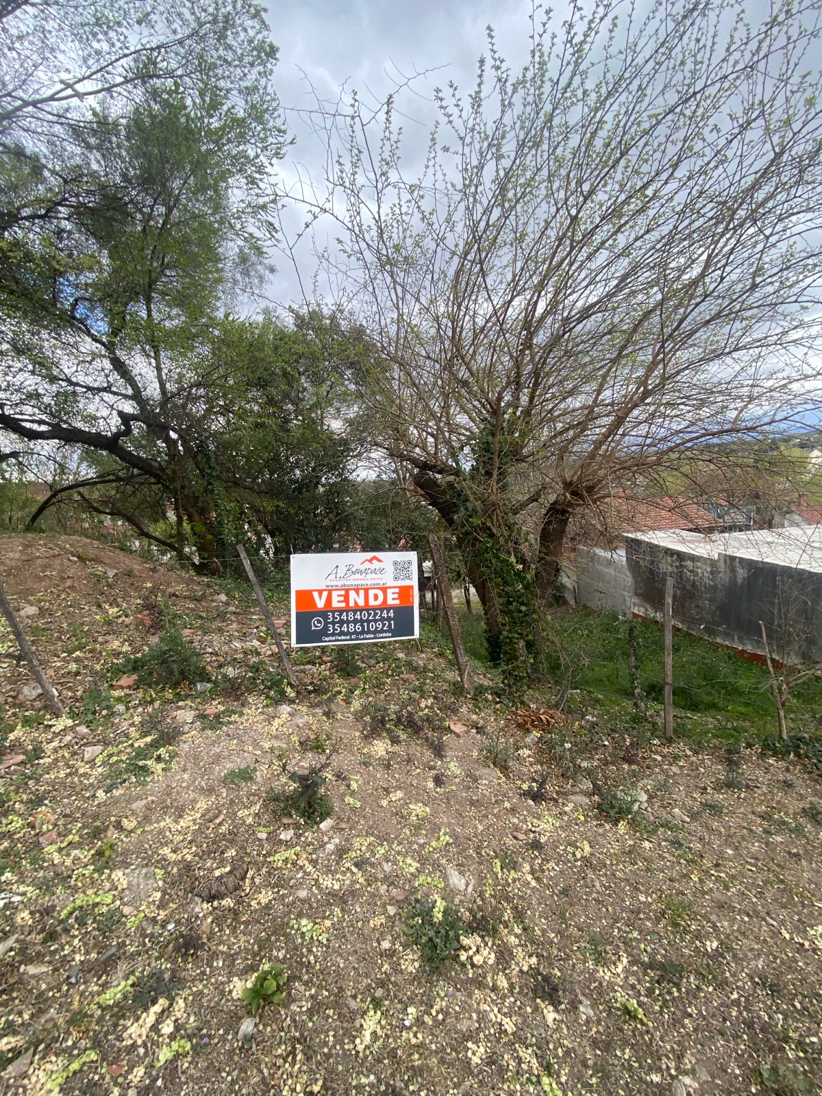 Propiedad